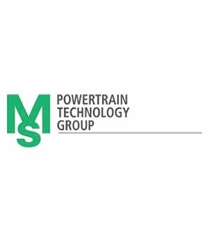 MS Logo